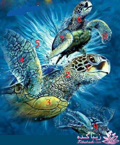 باهوش ها بیان ،جواب بدن