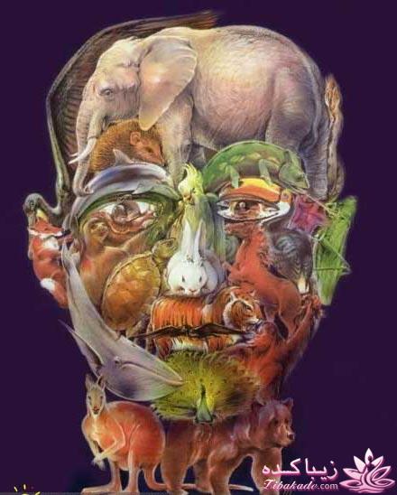 باهوش ها بیان ،جواب بدن