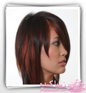 فرمول کامل تهیه انواع رنگ موهای شیک (عکس)