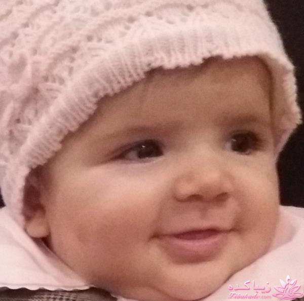 چگونگی درج عکس در پست ها 