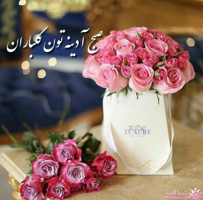 كافه گفت وگو ...