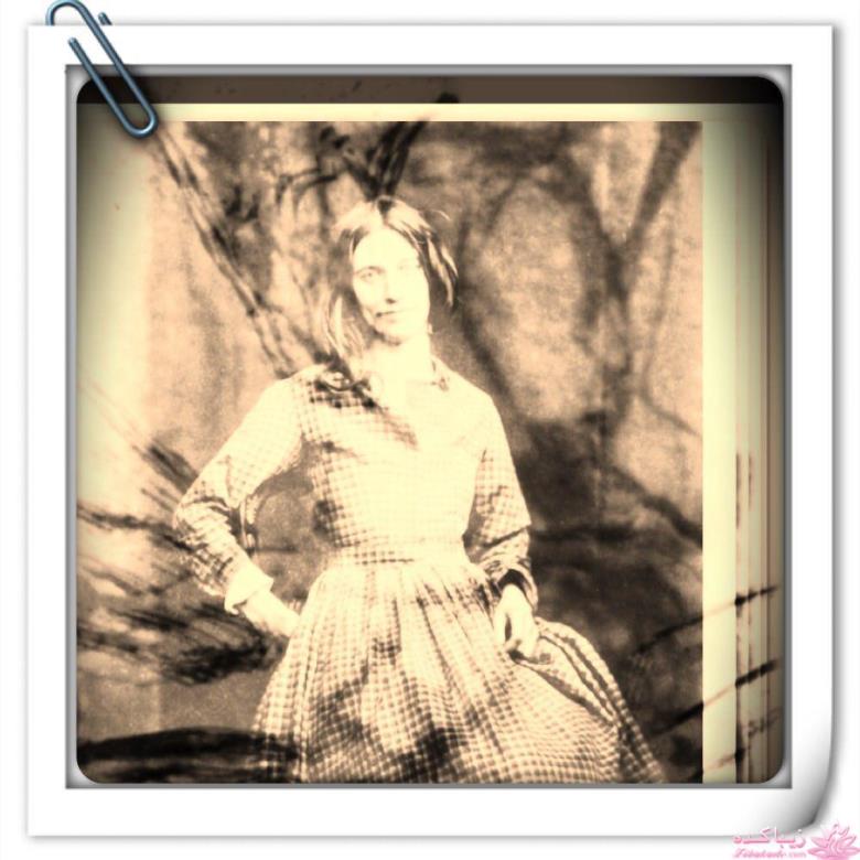 رمان ایرانی " مست و ملیح "