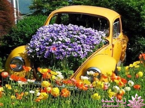 از ...همه چیــــــــــــــــــــــــــز...