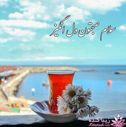 كافه گفت وگو ...