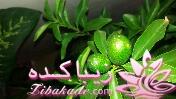 كافه گفت وگو ...