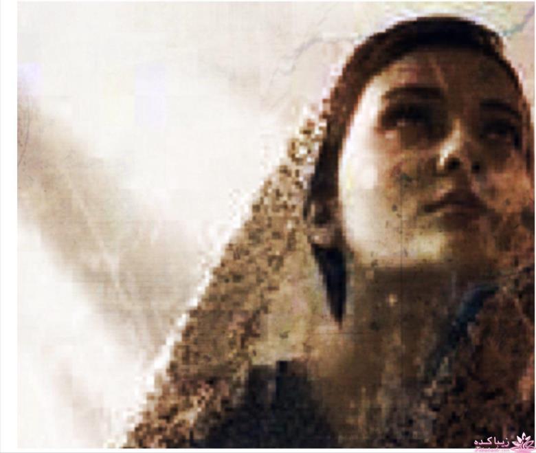 رمان  " دام دلارام "