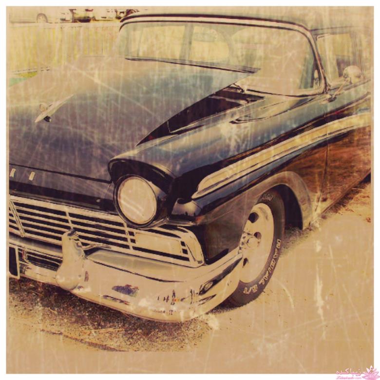 رمان  " دام دلارام "