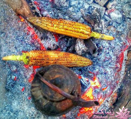 كافه گفت وگو ...