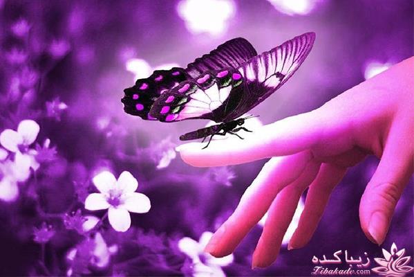 فروشگاه زیورآلات و جواهرات خاص و تزئینات مو در هر قیمتی و مناسب هدیه و کادو