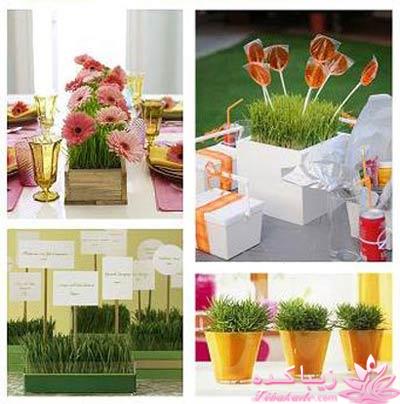 ایده ای زیبا برای سبزه ی سفره هفت سین