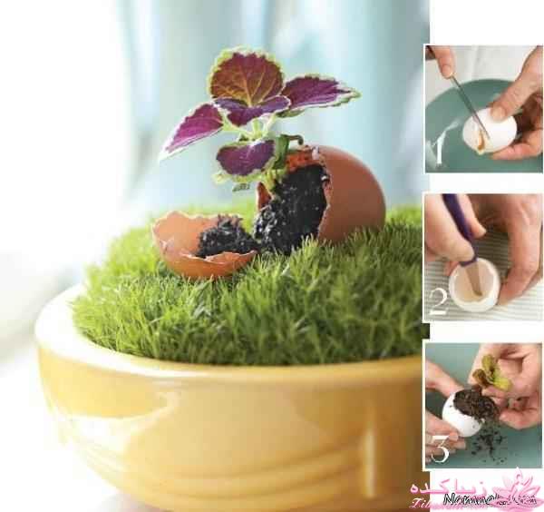 ایده ای زیبا برای سبزه ی سفره هفت سین