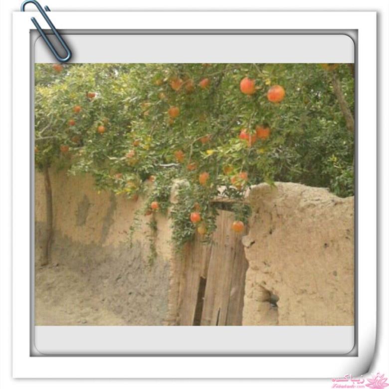 رمان ایرانی " مست و ملیح "