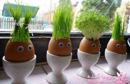 ایده ای زیبا برای سبزه ی سفره هفت سین