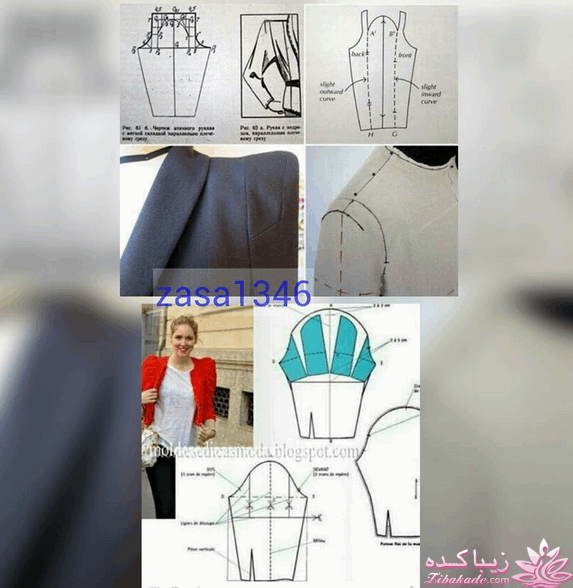 استین کوهانی