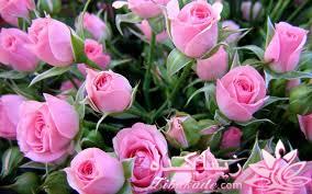 پرسش و پاسخ خیاطی