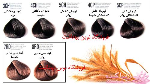 رنگ مو، آموزش ترکیب رنگ مو