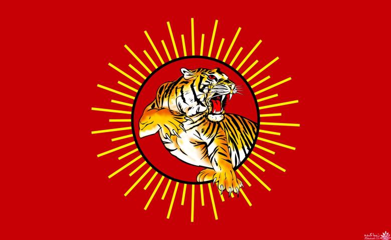 کافه نویسندگان