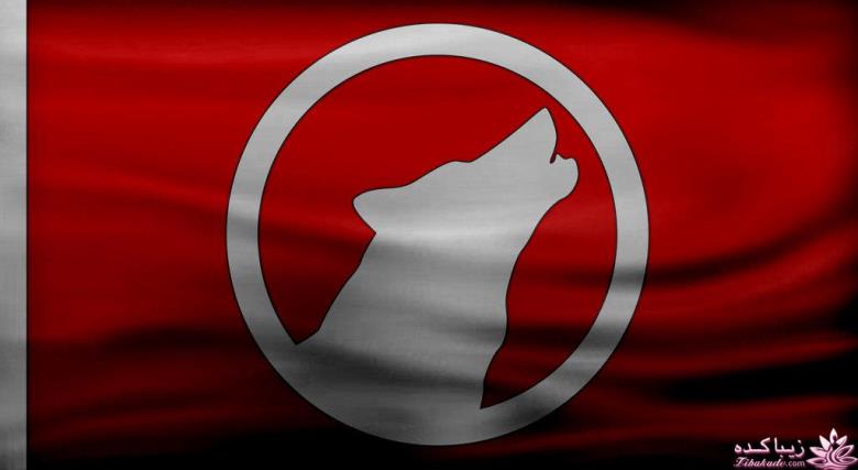 کافه نویسندگان