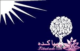 کافه نویسندگان