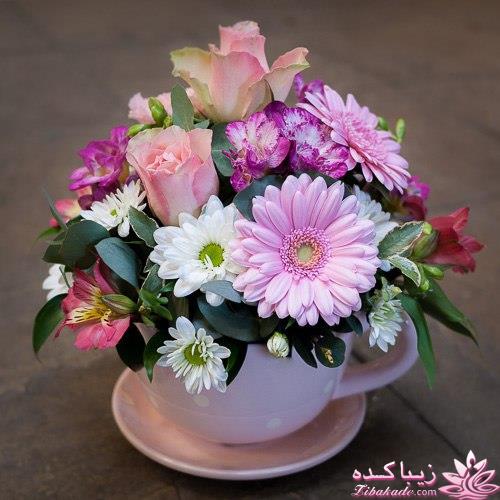 اقدام به بارداریها در سال 96بیاین لطفا