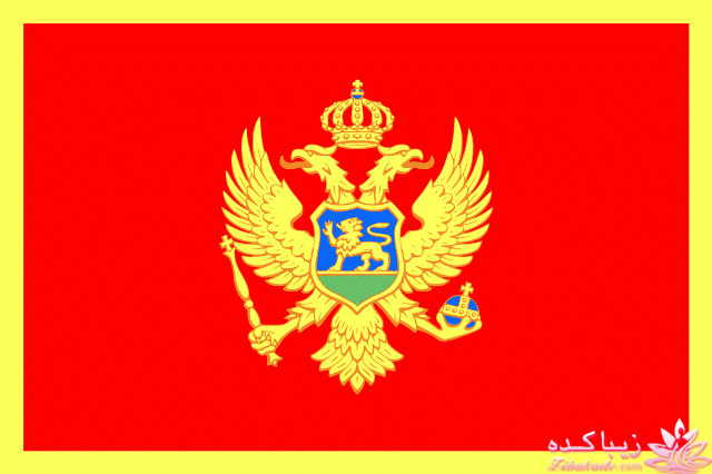 کافه نویسندگان