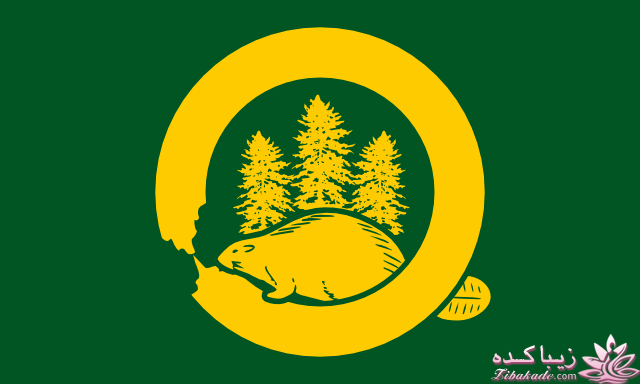 کافه نویسندگان