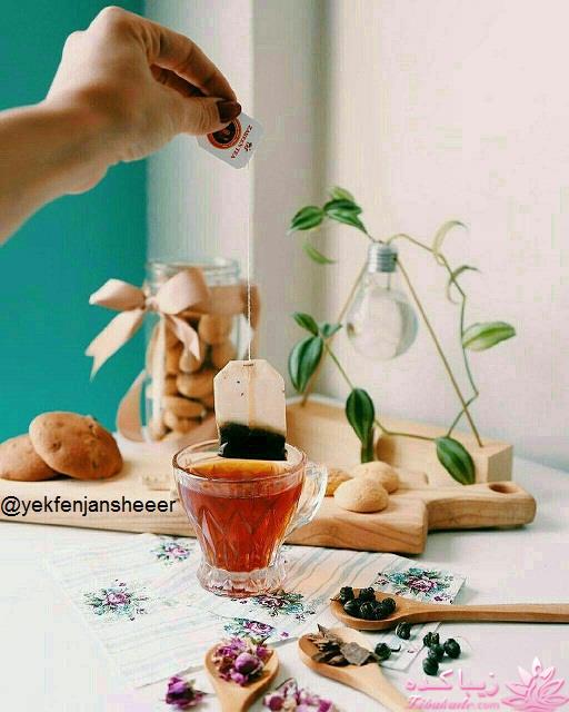 كافه گفت وگو ...