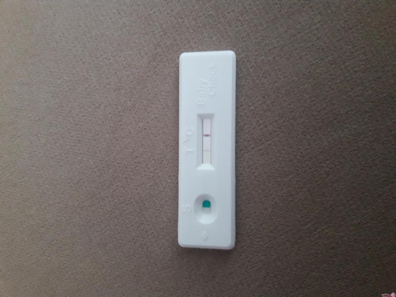 تبادل نظر درباره دوران بارداری