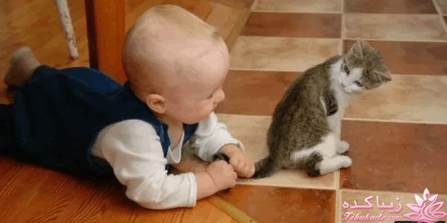 من شما را به چالش دعوت میکنم!