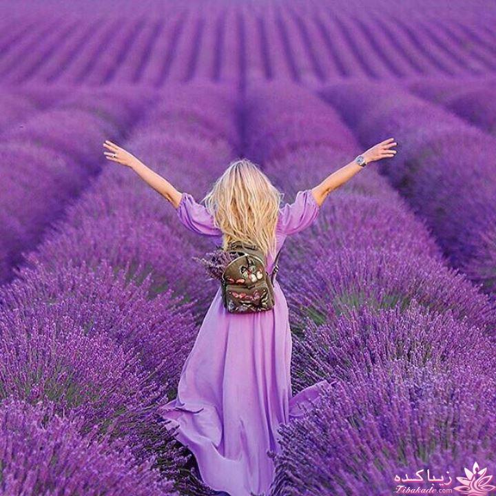 چگونه نویسنده شویم؟  