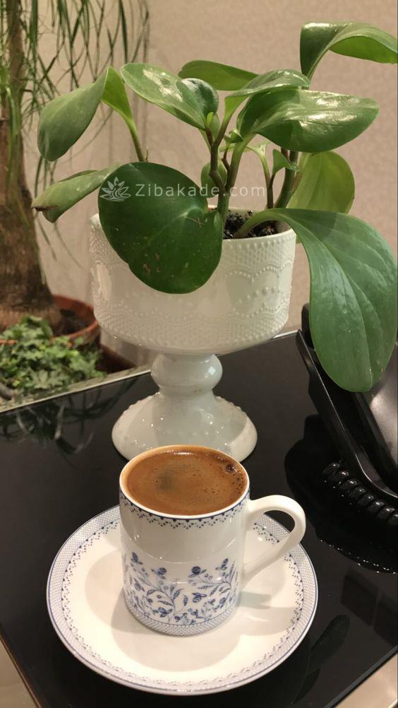 معانی فال قهوه 