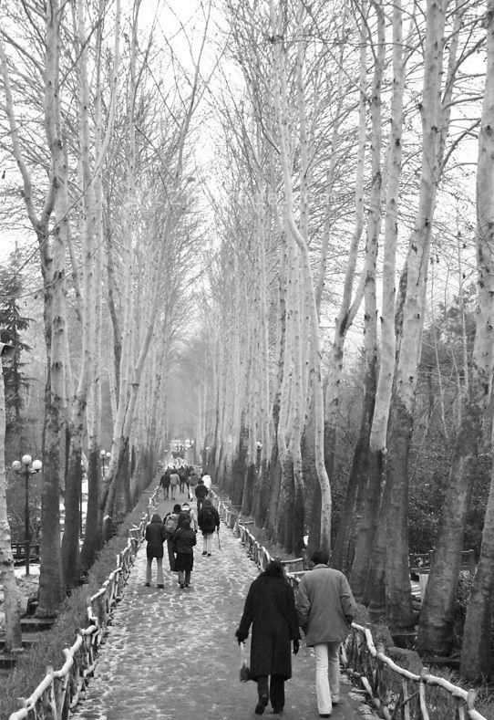 متن عاشقانه | متن زیبا | متن خاص