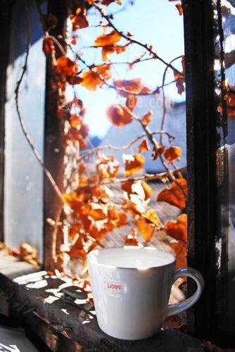 متن عاشقانه | متن زیبا | متن خاص