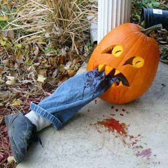 جشن هالووین