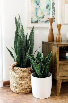 جدیدترین لوازم دکوری منزل 