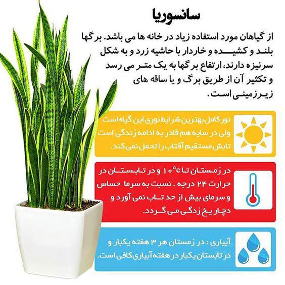 جدیدترین لوازم دکوری منزل 