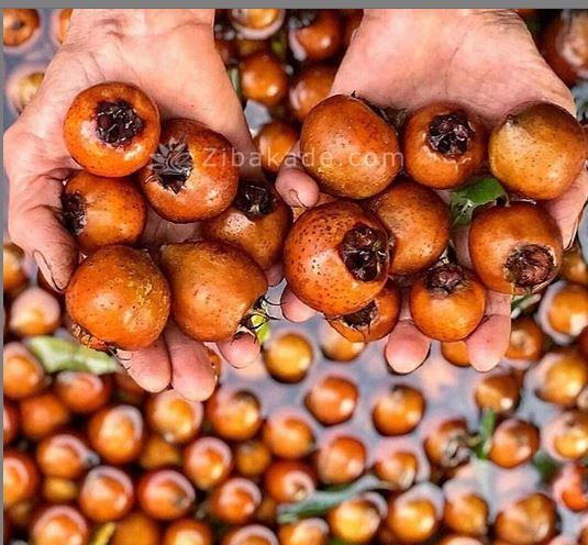 درست کردن تنقلات شب یلدا