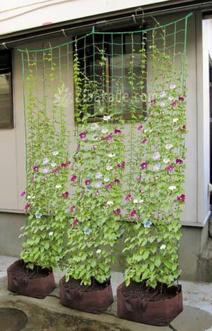 ایده های خلاقانه