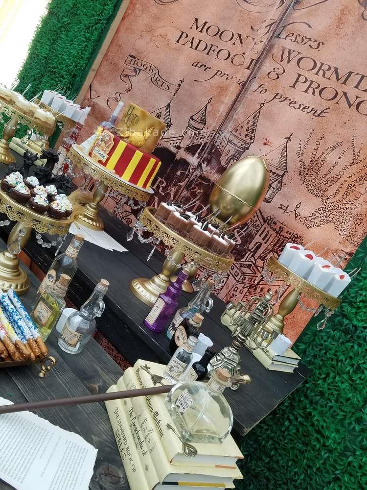 تم تولد هری پاتر - Harry Potter