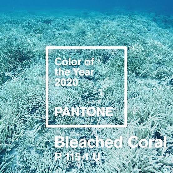 رنگ سال 2020 مشخص شد 