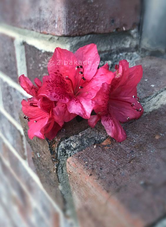 متن عاشقانه | متن زیبا | متن خاص