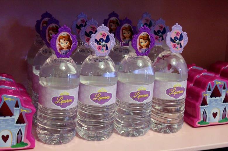 تم تولد سوفیا - Princess Sofia