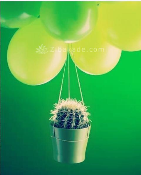 پیشنهاداتی برای خرید هدیه ی ولنتاین و تزیین کادوی ولنتاین