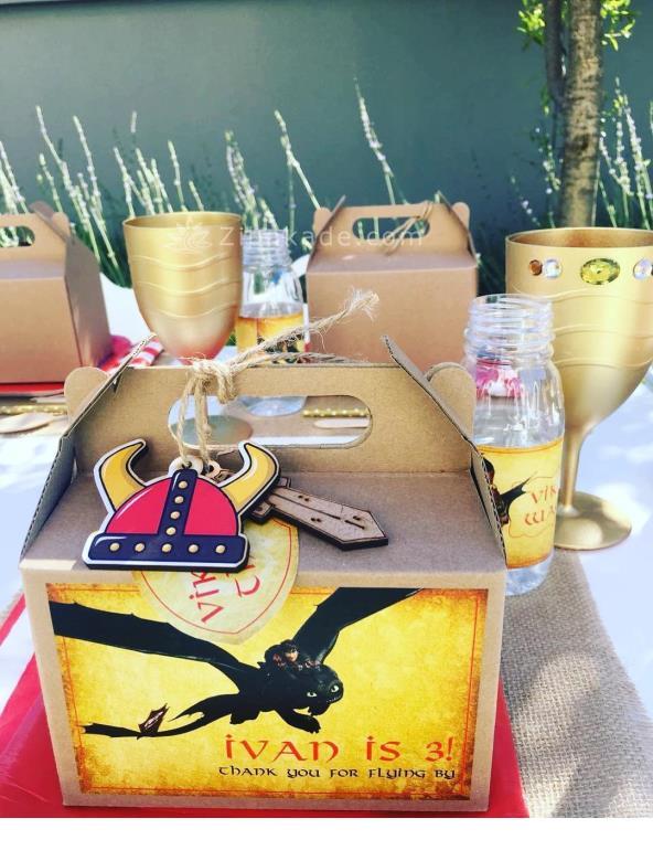 تم تولد مربی اژدها - How to Train Your Dragon