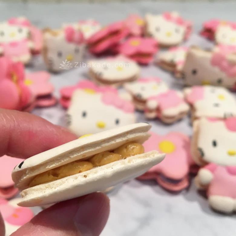 تم تولد کیتی - Hello Kitty