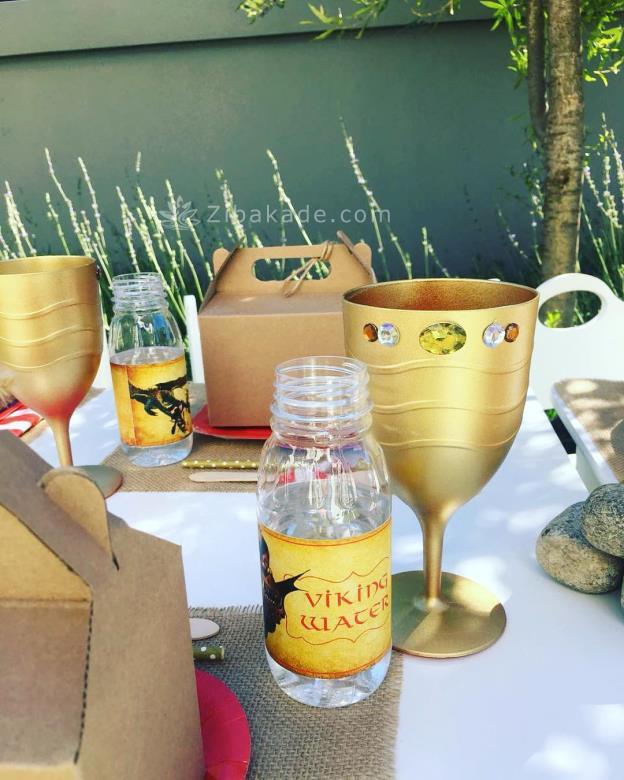 تم تولد مربی اژدها - How to Train Your Dragon