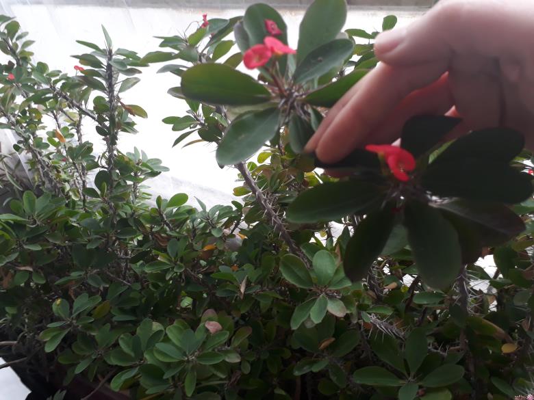 من شما را به چالش دعوت میکنم!