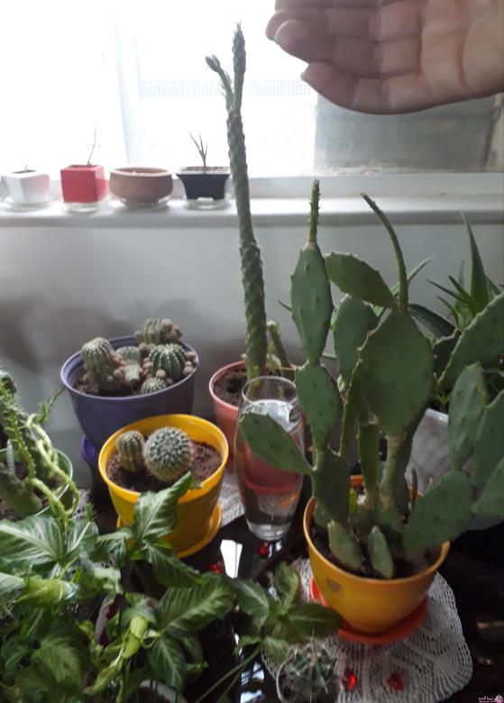 من شما را به چالش دعوت میکنم!