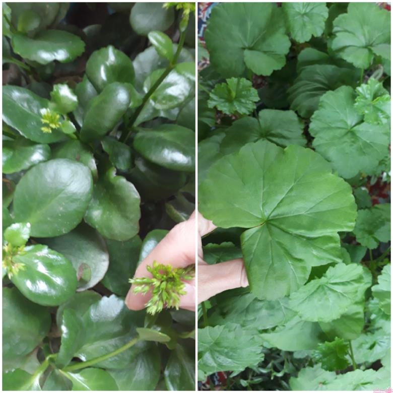 من شما را به چالش دعوت میکنم!