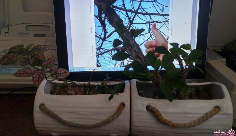 من شما را به چالش دعوت میکنم!